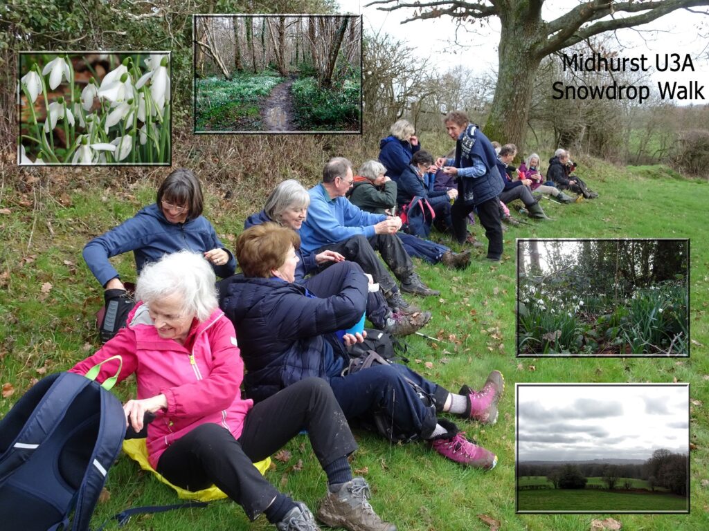 Walking Group enjoying the snowdrops