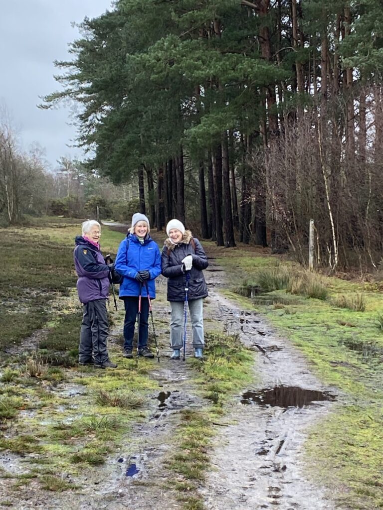 Short walkers on Stedham Common Jan 26