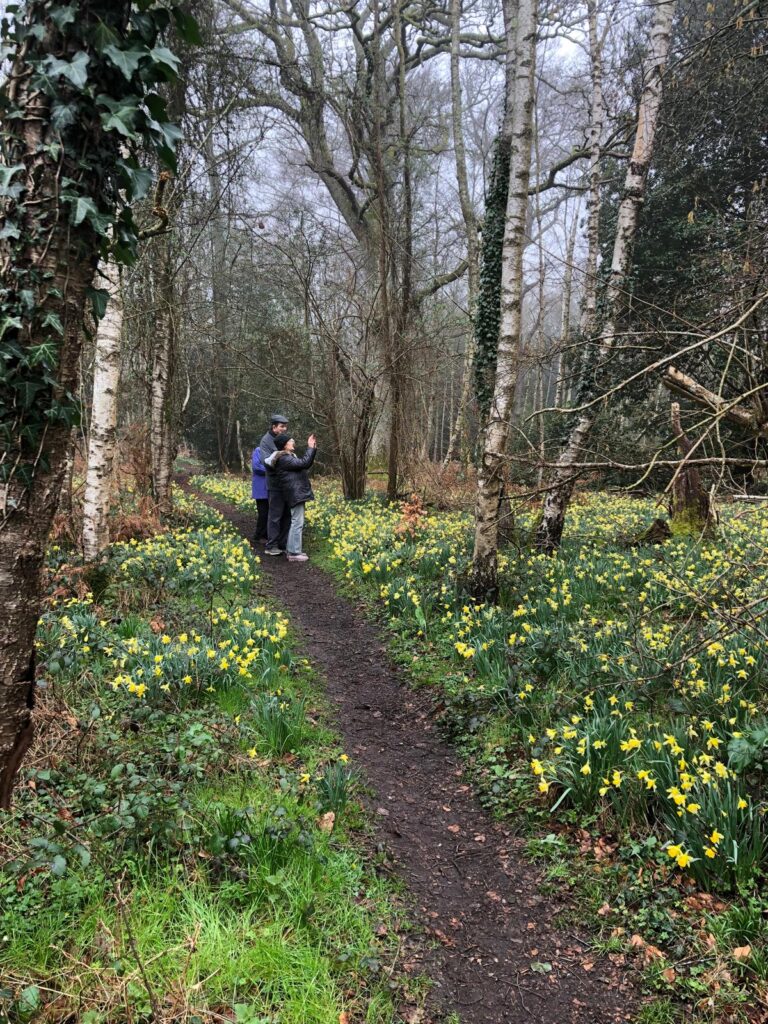 Short walks group looking at daffodils March 26